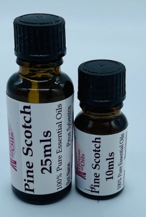 Pine Scotch Essential Oil